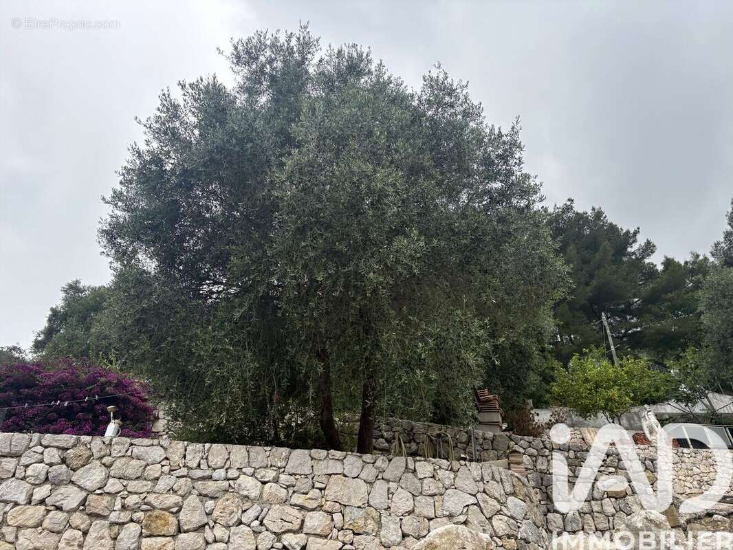 Photo 2 - Maison à SAINTE-AGNES