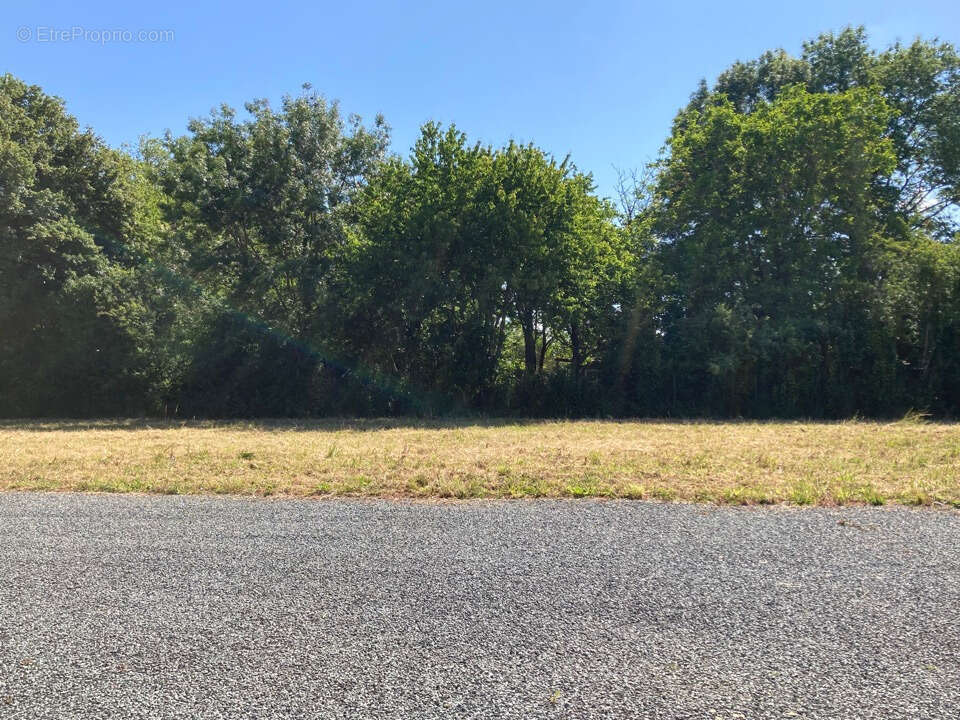 Terrain à SAINT-VAIZE