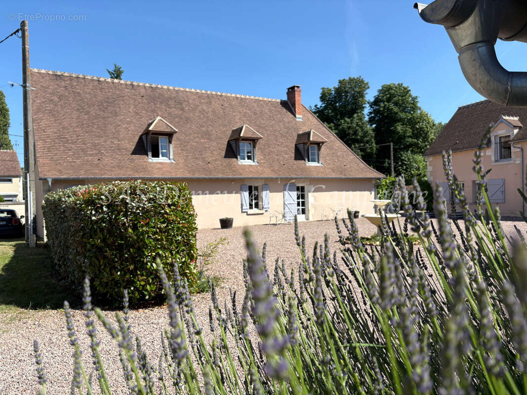 Maison à SANCERRE