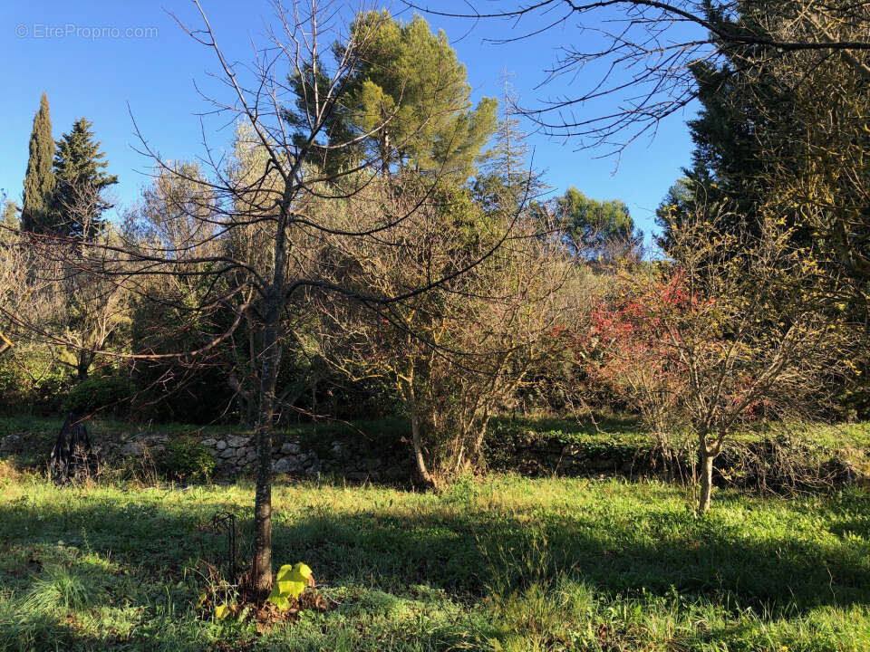 Terrain à CARNOULES