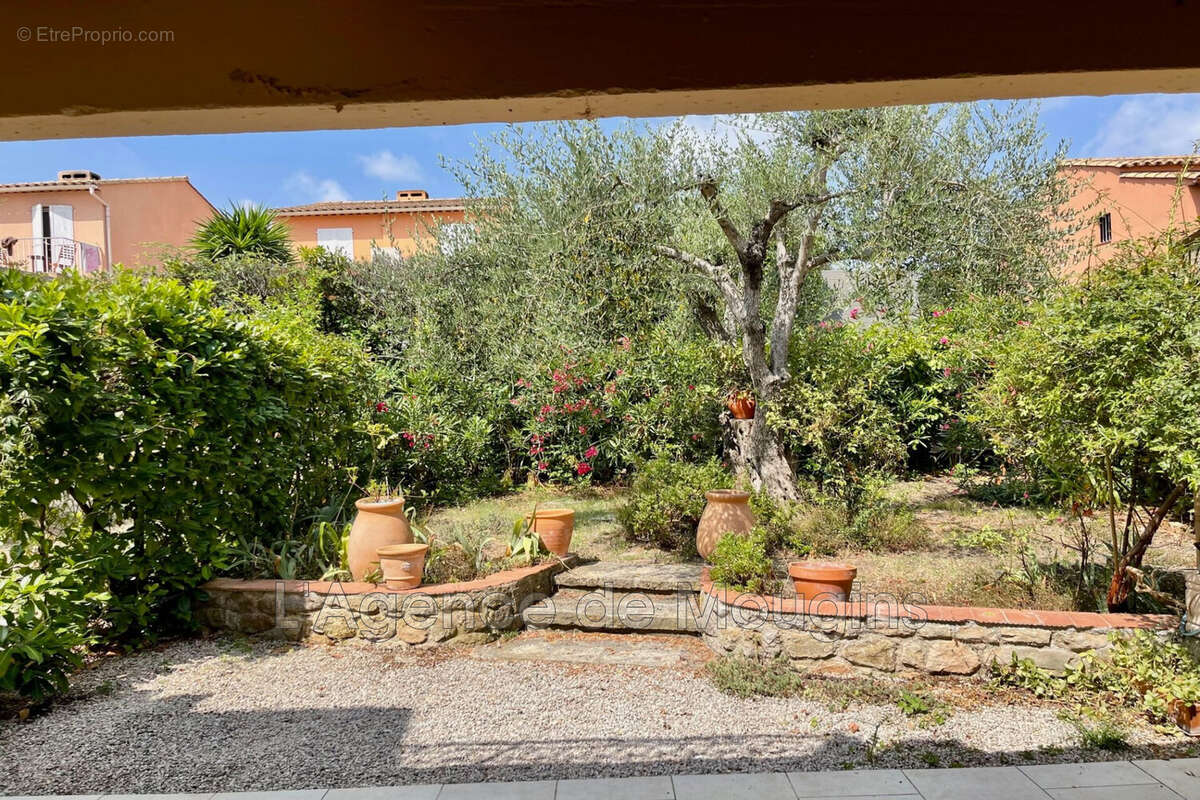 Maison 75 m² à Mougins  - photo 3