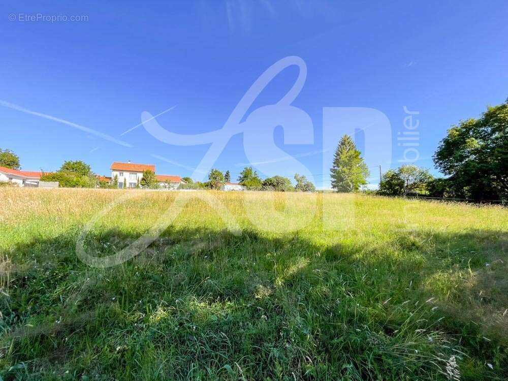 Terrain viabilisé (Lot 1) - Terrain à PANISSAGE