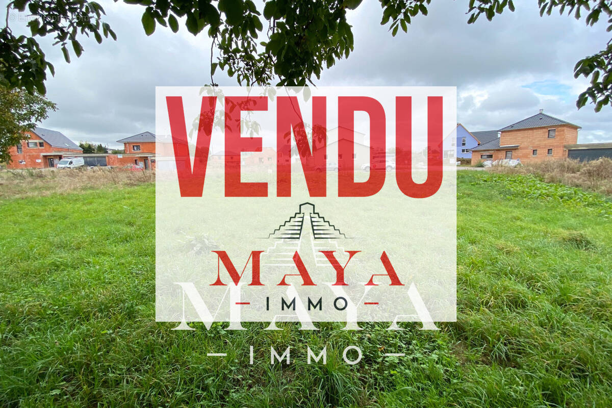 Terrain à ZAESSINGUE