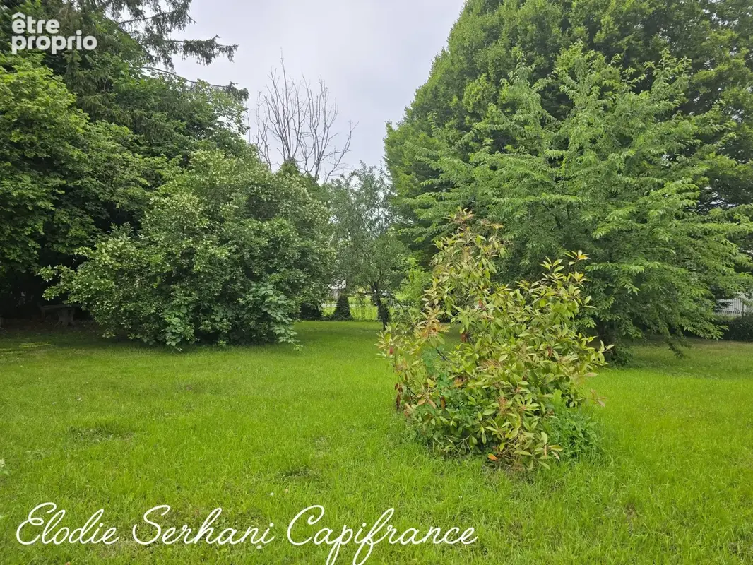 En Exclusivité maison charmante et atypique (possibilité de location) T8 de 266,88m2 à Mandeure - photo 17