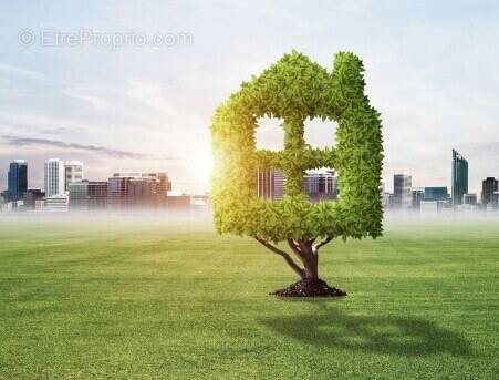 Terrain à BELLEVILLE-SUR-VIE