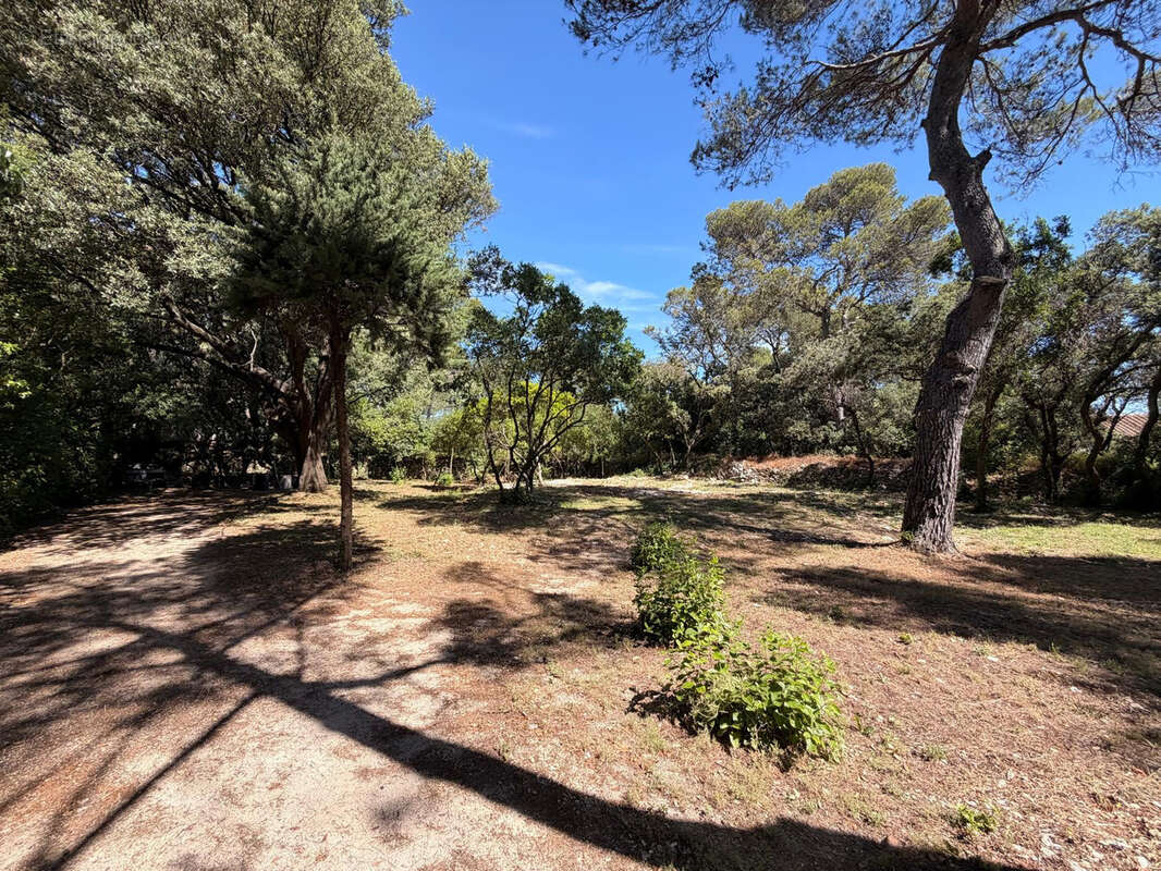 NIMES CAMPLANIER Superbe maison de plain pied,7 pièces de 250 m2 avec dépendance, jardin et piscine - photo 12