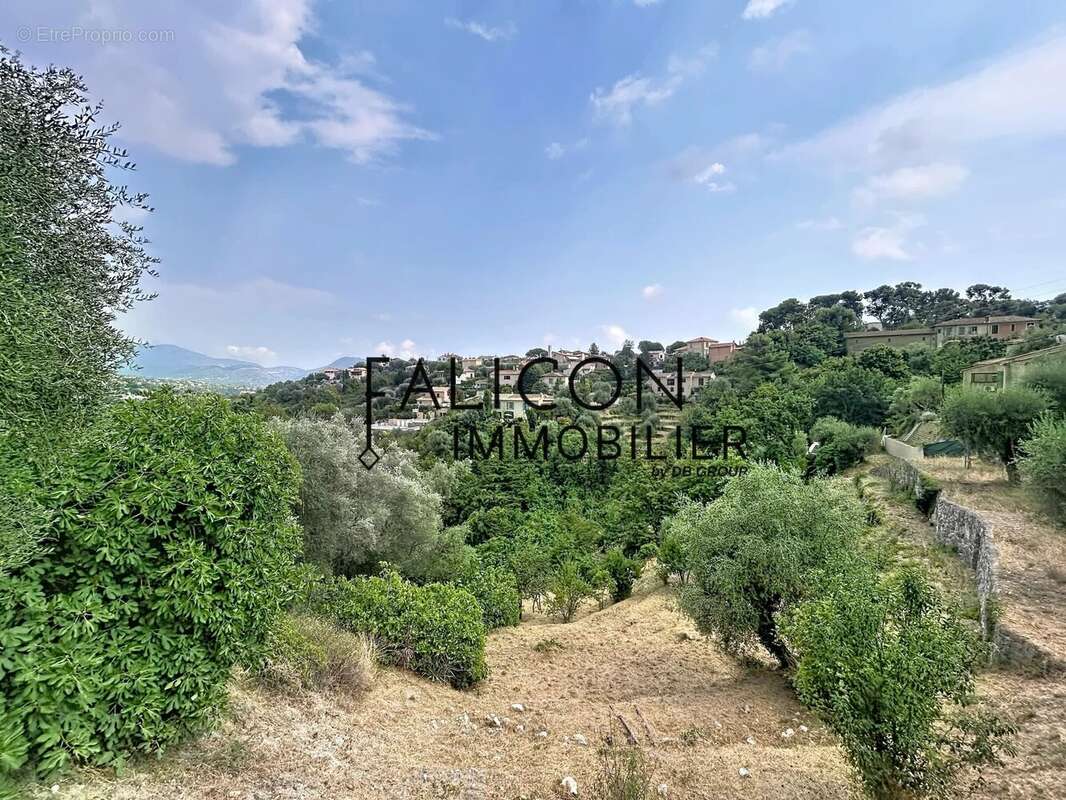 Terrain à FALICON