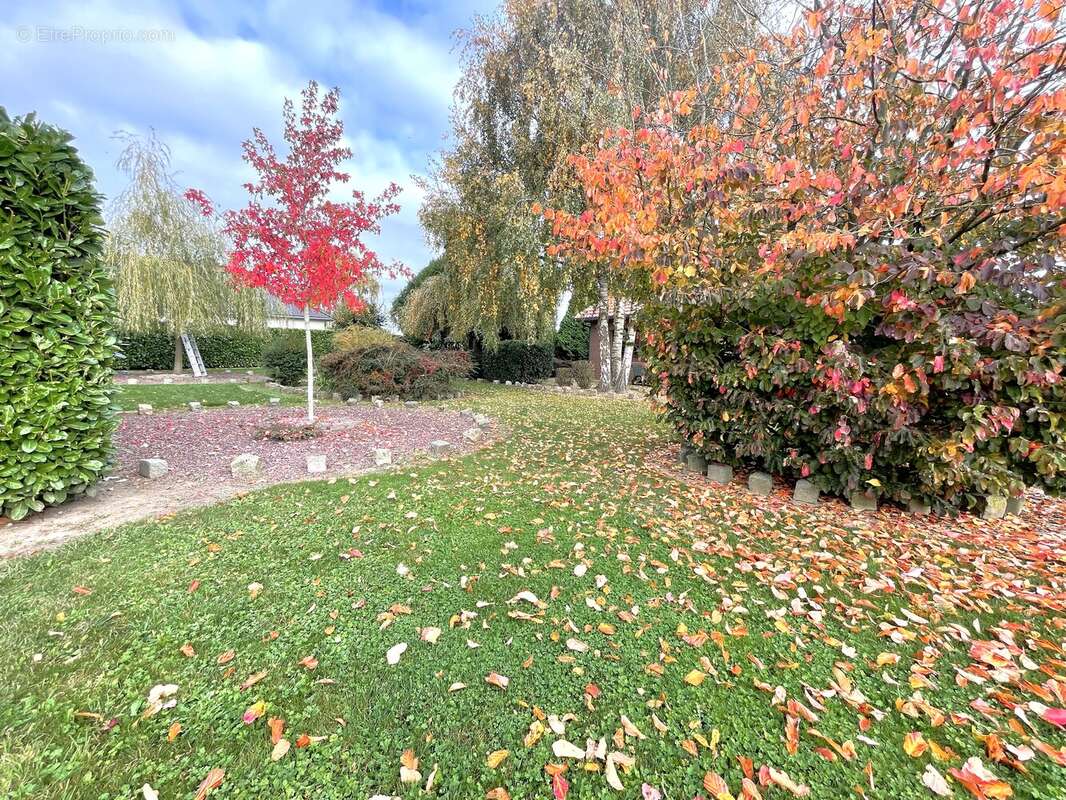 Maison à RACQUINGHEM