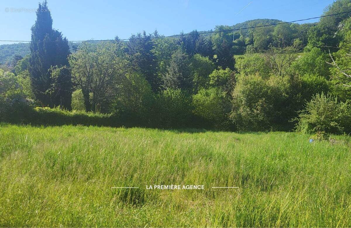 Terrain à SAINT-ROMAIN-DE-POPEY