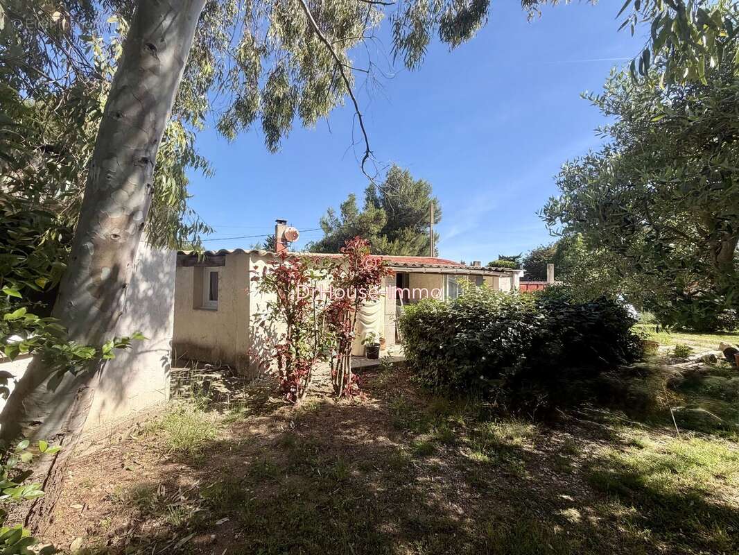 Maison à FABREGUES