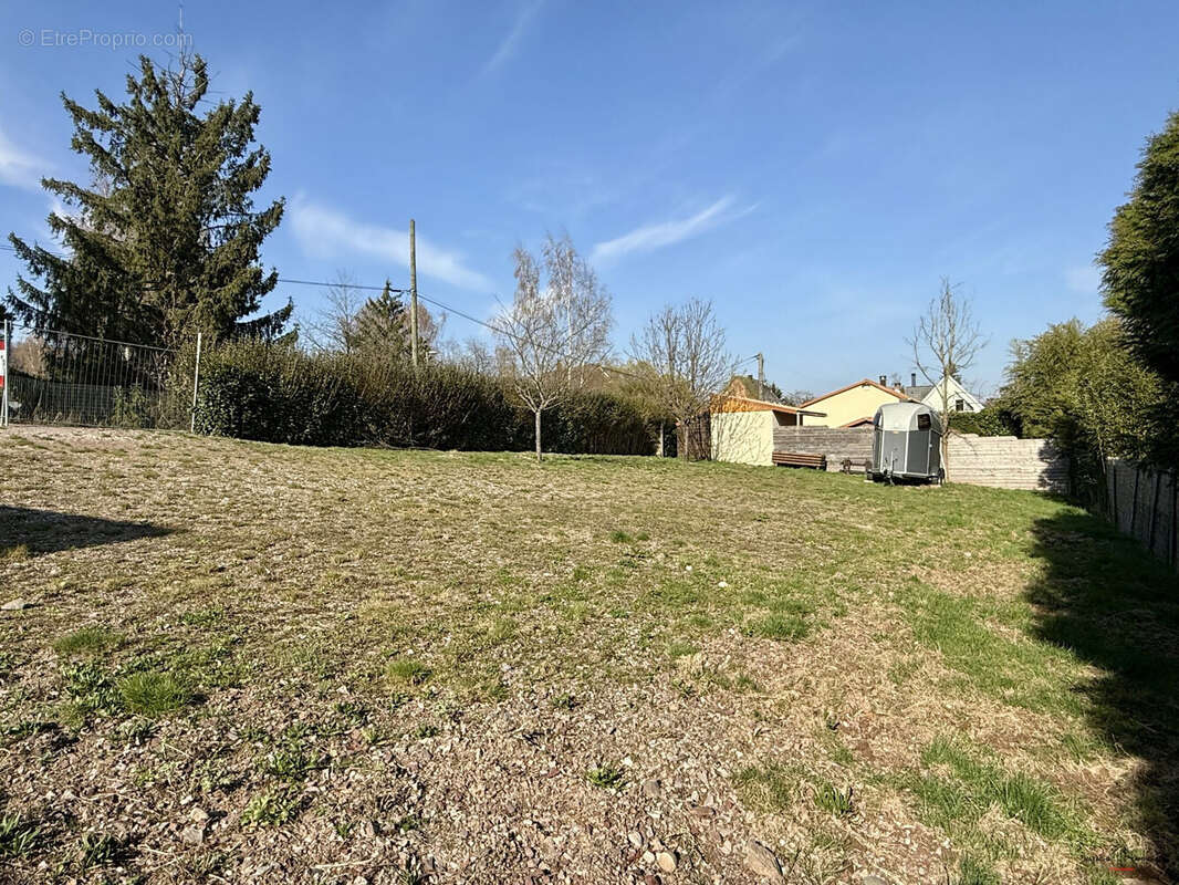 Terrain à LUTZELHOUSE