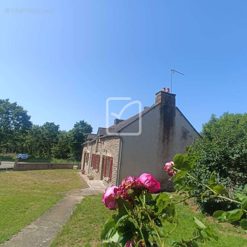 Maison à NEANT-SUR-YVEL