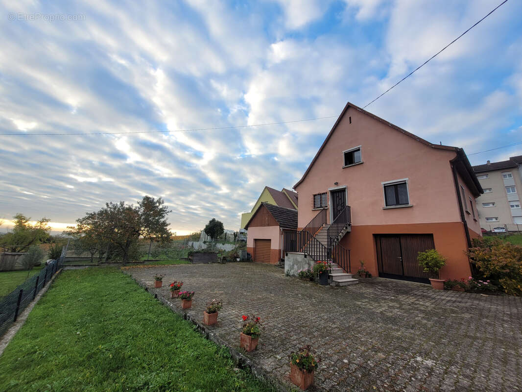 Maison à RIBEAUVILLE