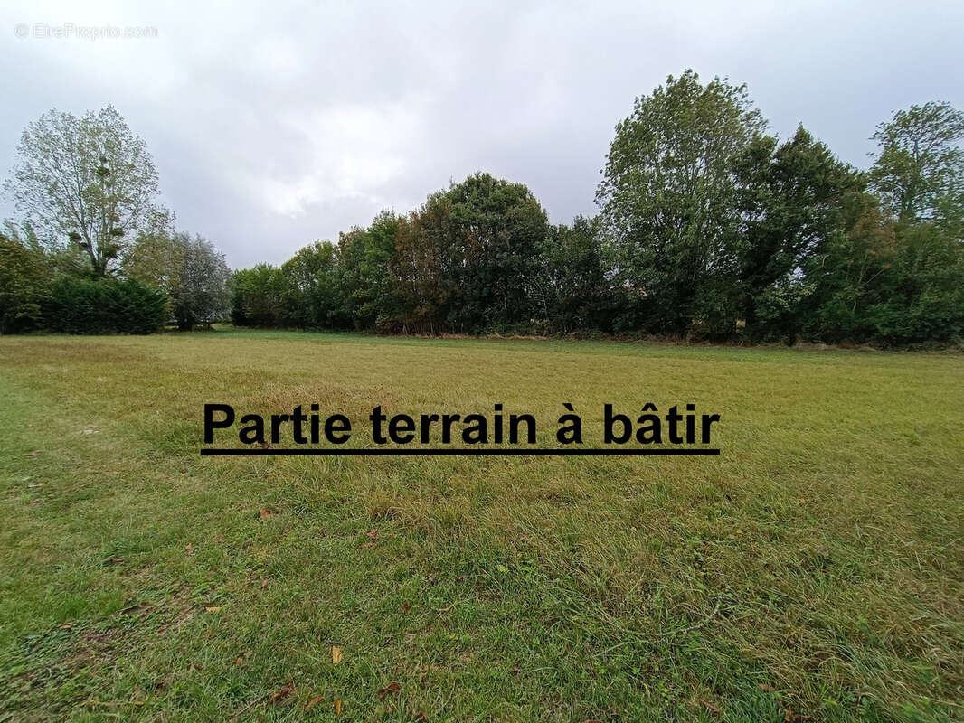 Terrain à COUY