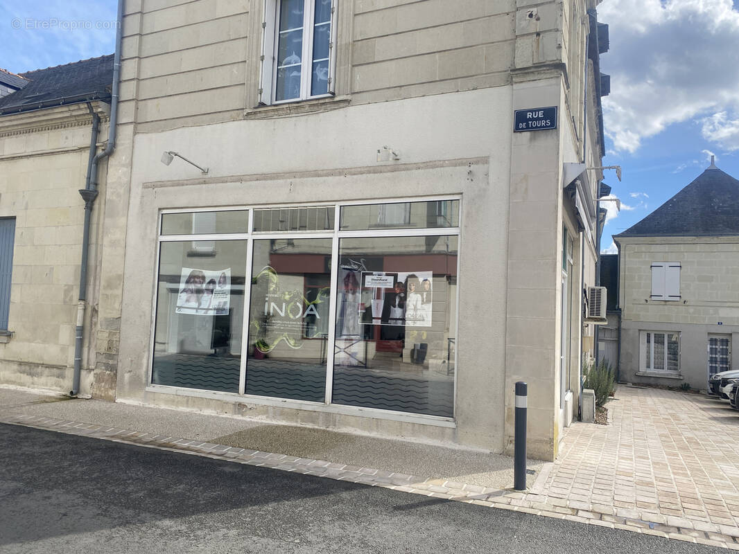 Autre à CHOUZE-SUR-LOIRE