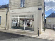 Autre à CHOUZE-SUR-LOIRE