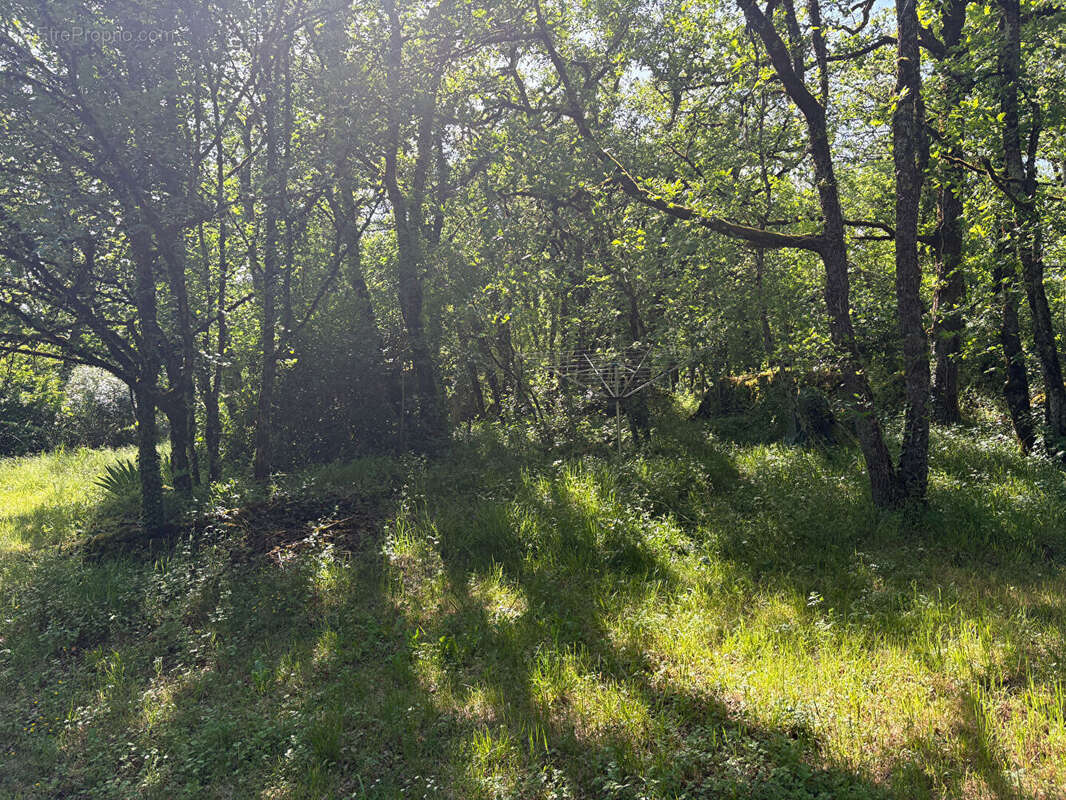 Terrain à LA DORNAC