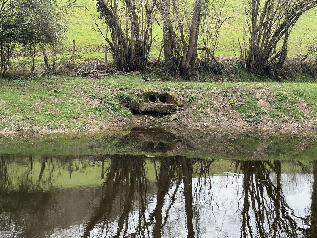 Etang de 4000 m2 sur une parcelle de 5 733 m2 ! - photo 4