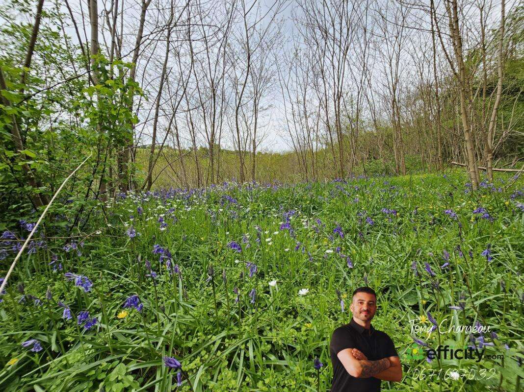 Terrain à SAINT-CALAIS