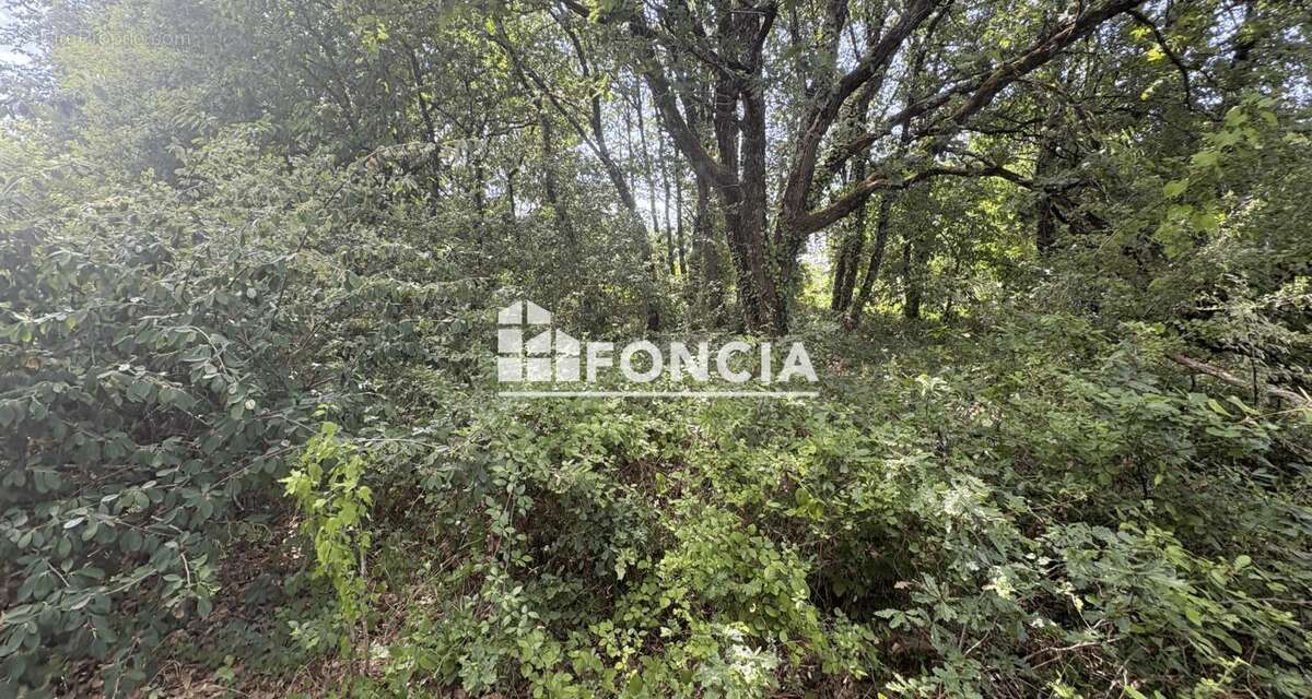 ALERTE PROMOTEURS – Opportunité foncière à Étaules - photo 4
