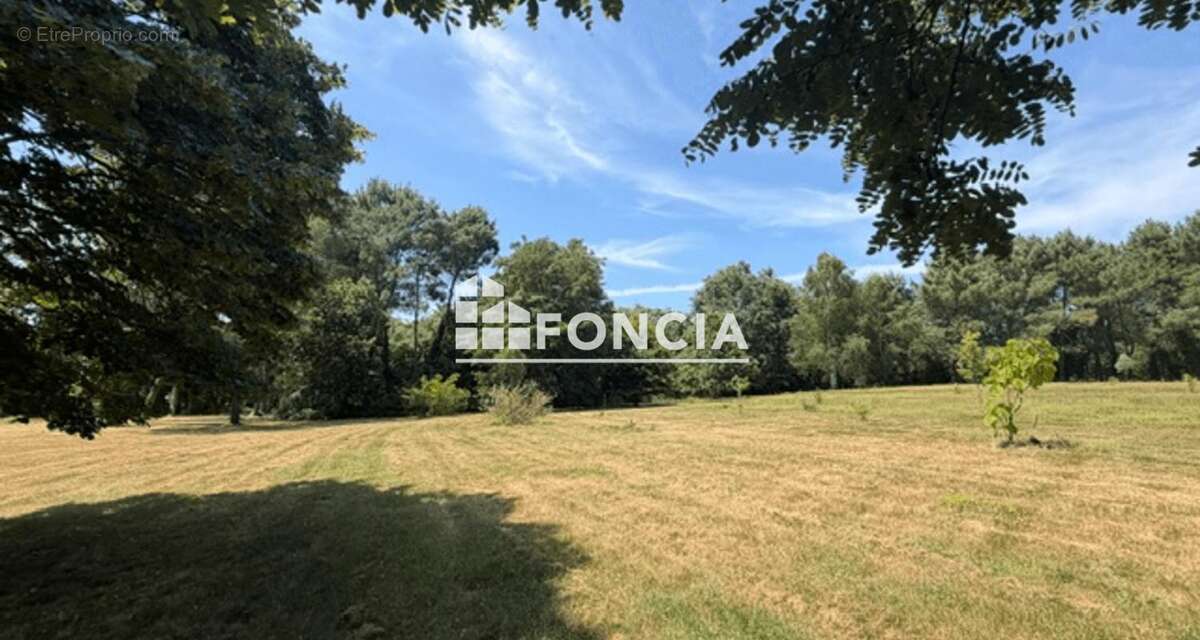 À vendre – Corps de ferme de caractère sur plus d’un hectare arboré - photo 14