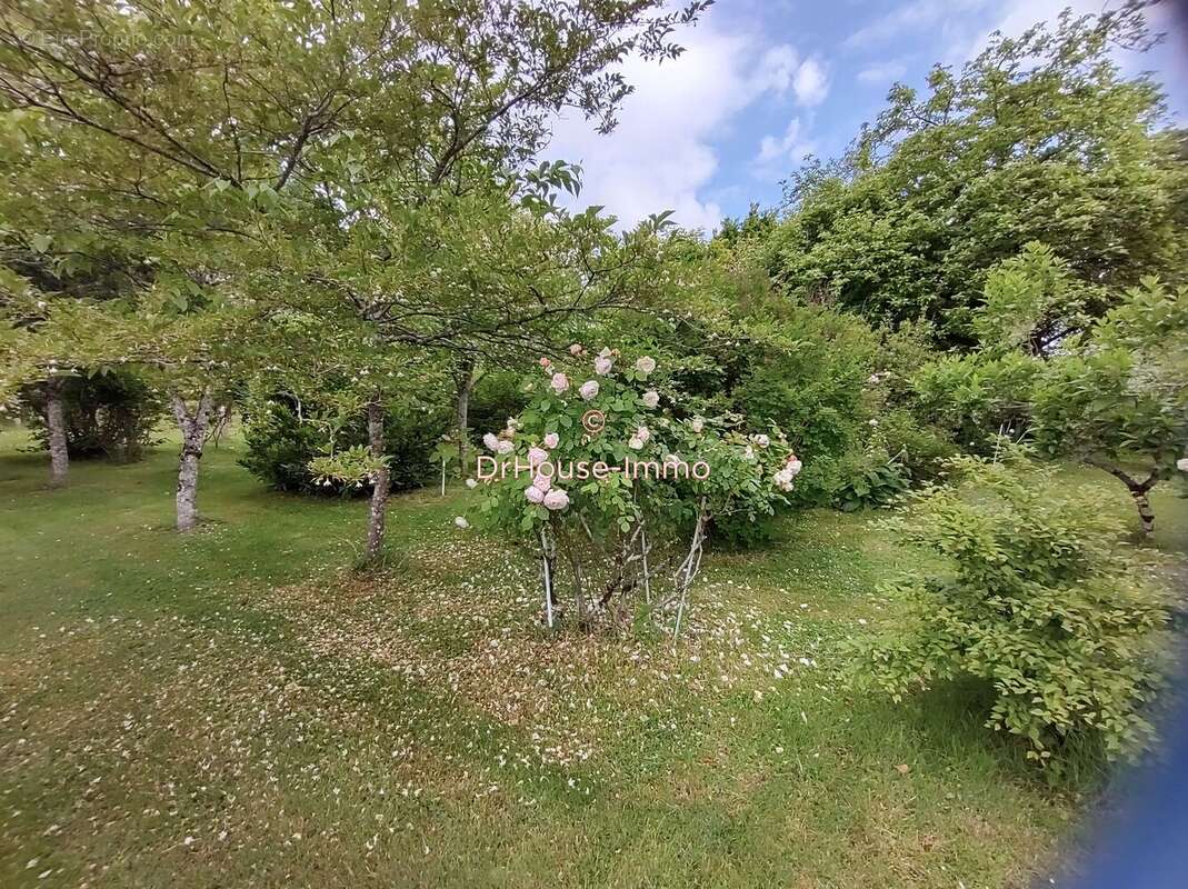 Maison à PELLEVOISIN