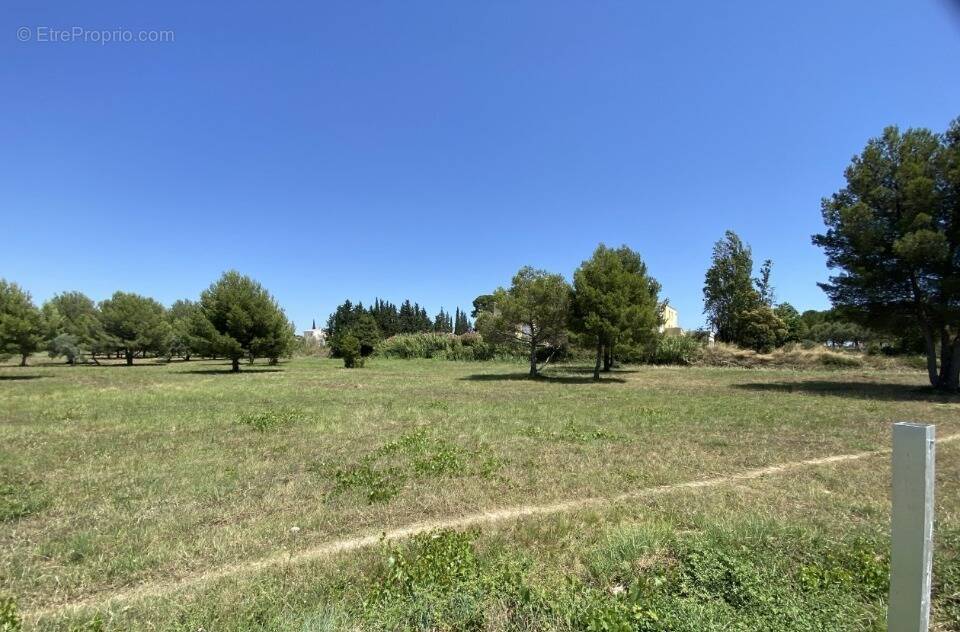 Terrain à SAINT-PARGOIRE