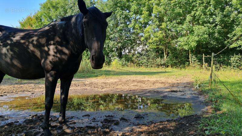 Photo 3 - Terrain à SAINT-GOBAIN