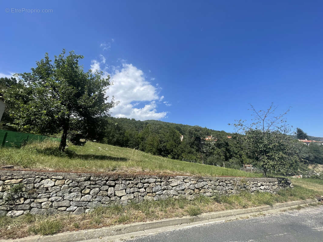 Terrain à PRATS-DE-MOLLO-LA-PRESTE