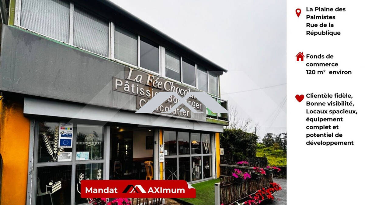 Autre à LA PLAINE-DES-PALMISTES