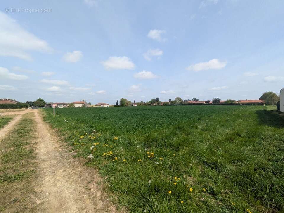 Terrain à ARS-SUR-FORMANS