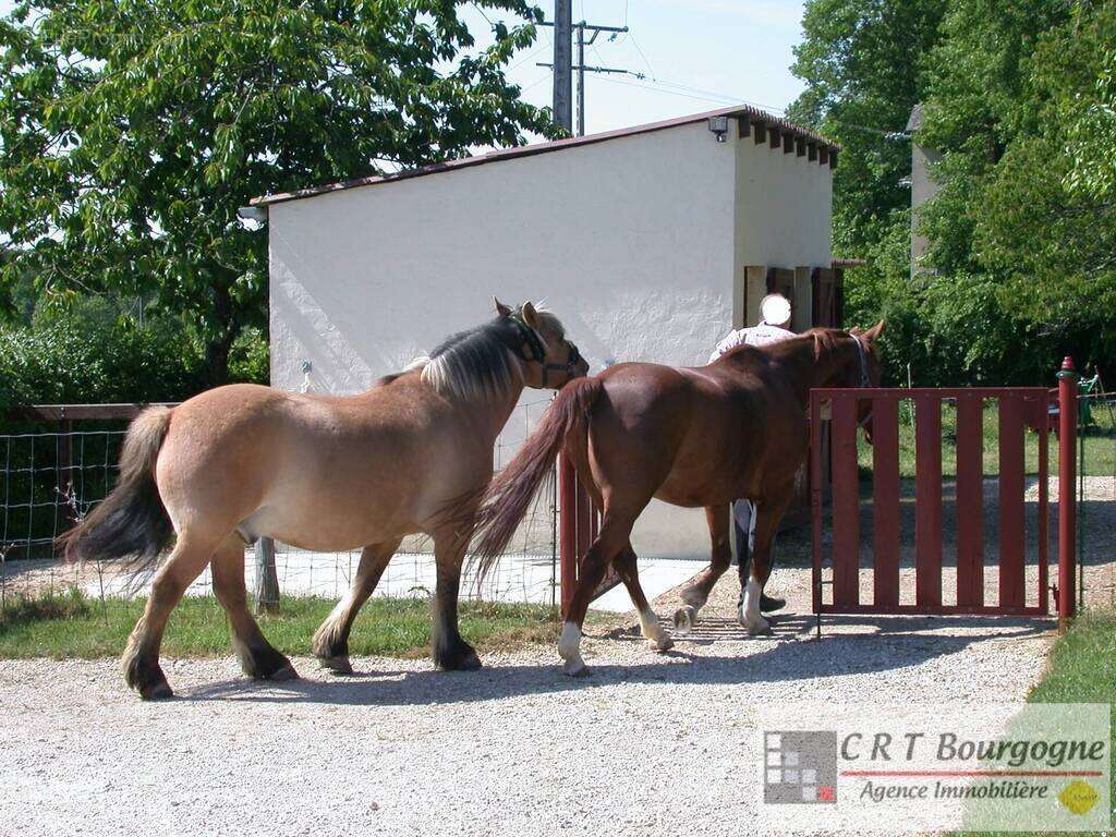 Maison à MOULINS-SUR-OUANNE