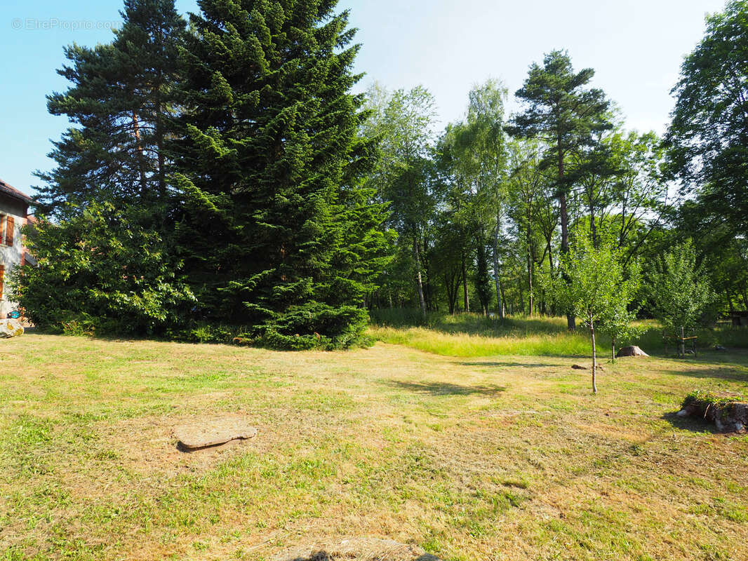 Appartement à SERMAMAGNY