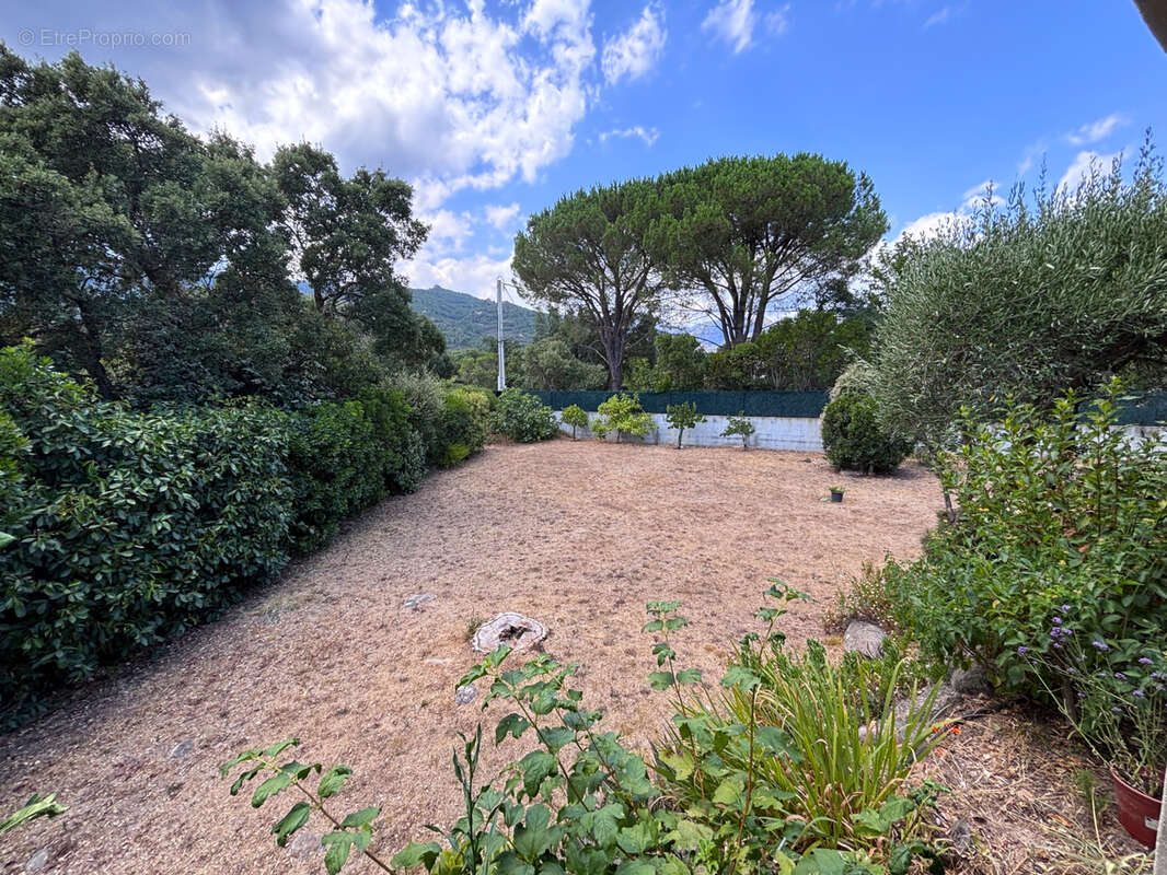Propriété de 1500m2 avec piscine à proximité des plages de Saint Cyprien et des commodités. - photo 14