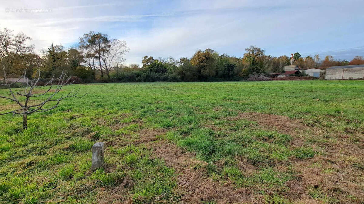 Maison à VILLENEUVE-DE-MARSAN