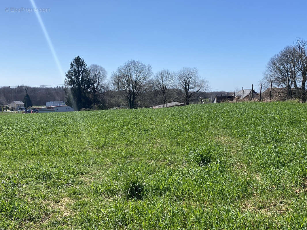 Terrain à SAINT-SORNIN-LAVOLPS