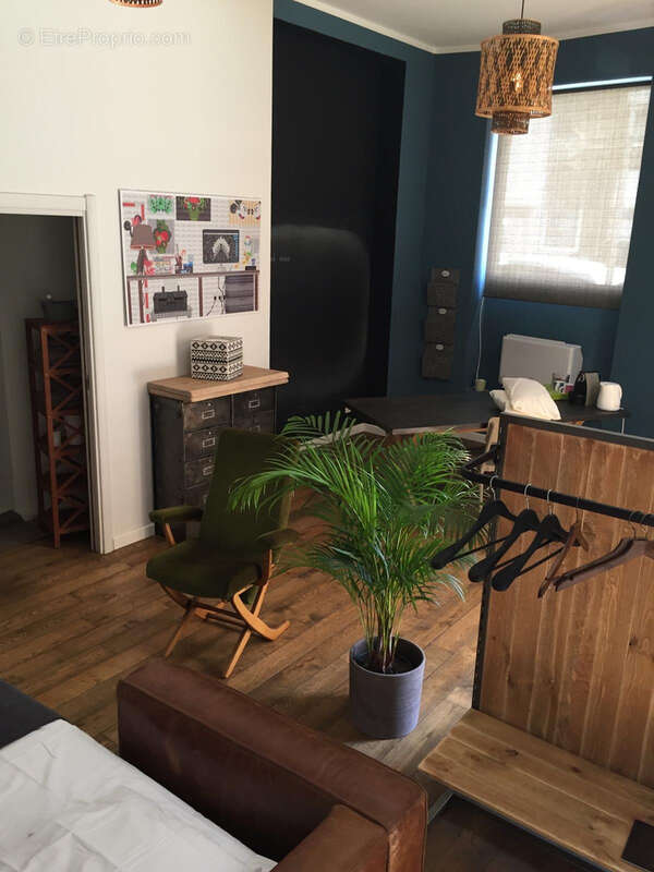 Commerce à SAN-MARTINO-DI-LOTA