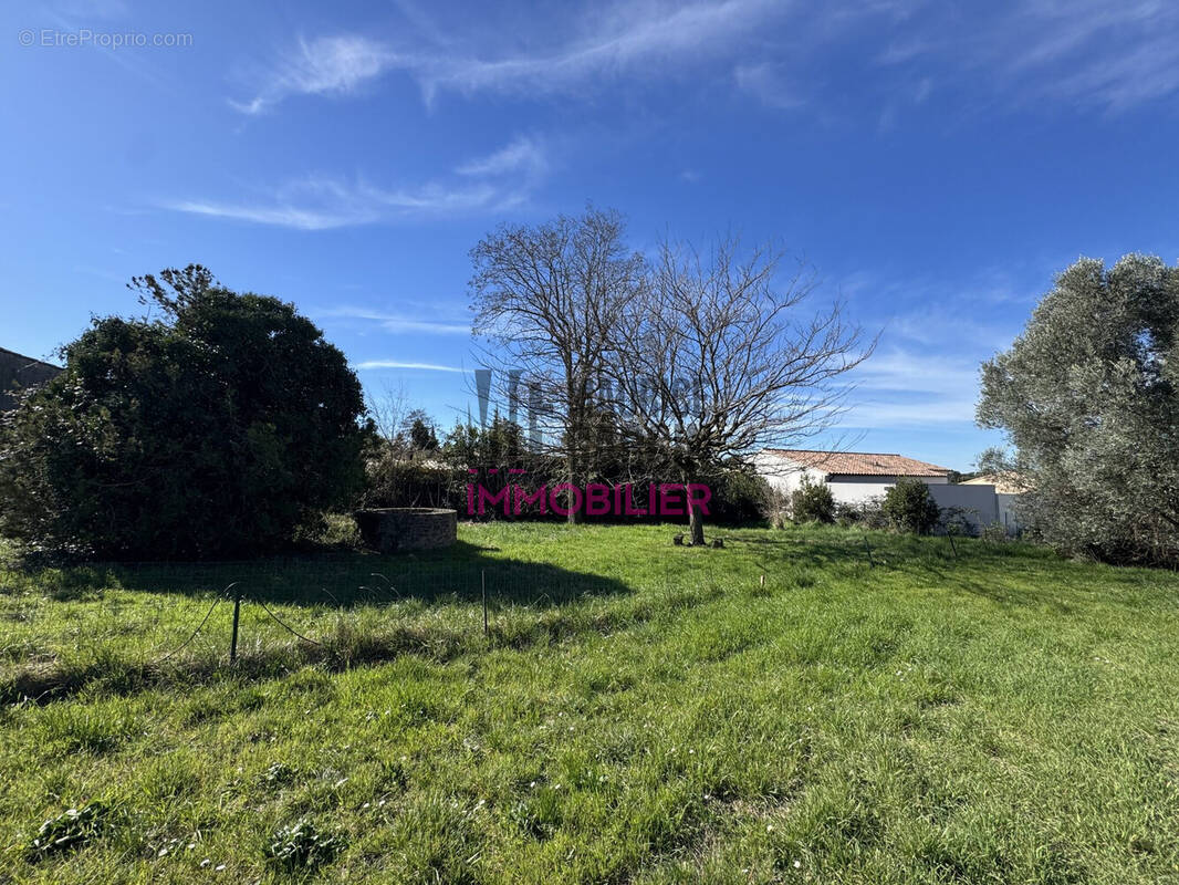 Terrain à UCHAUX