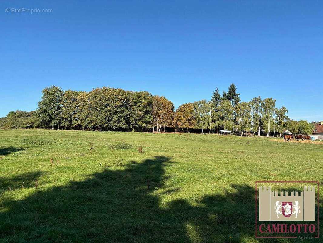 Terrain à NOGENT-LE-ROI