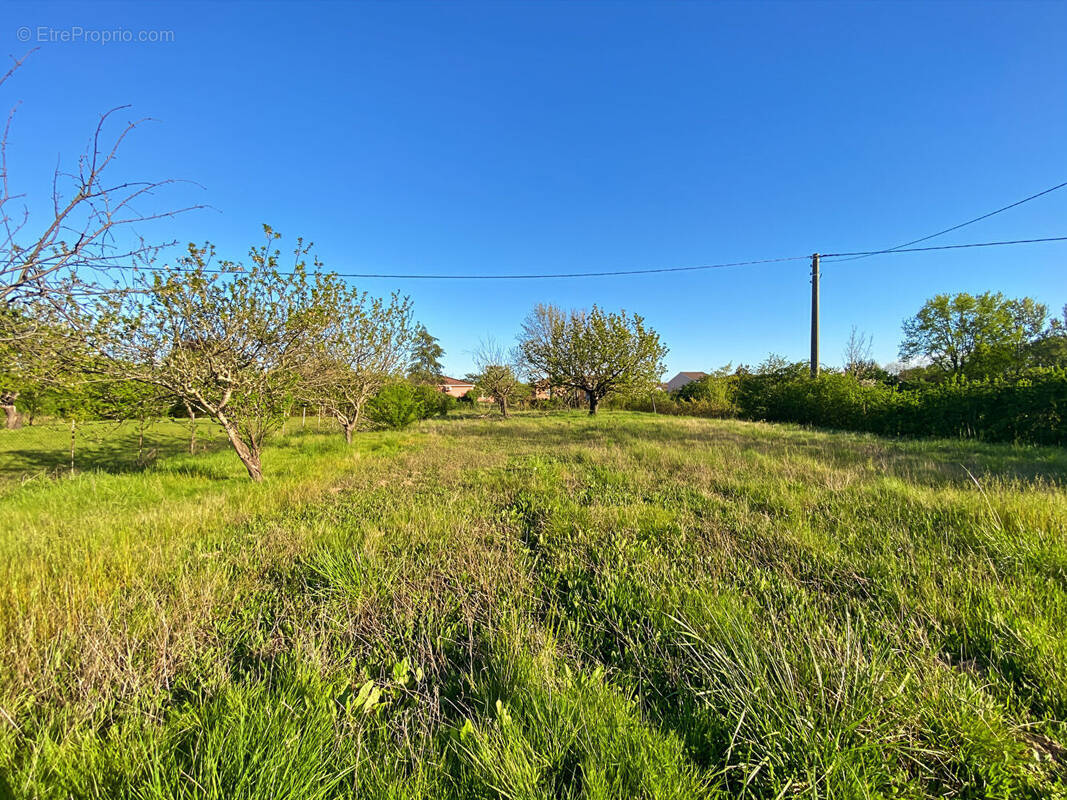 Terrain à MONTAUBAN