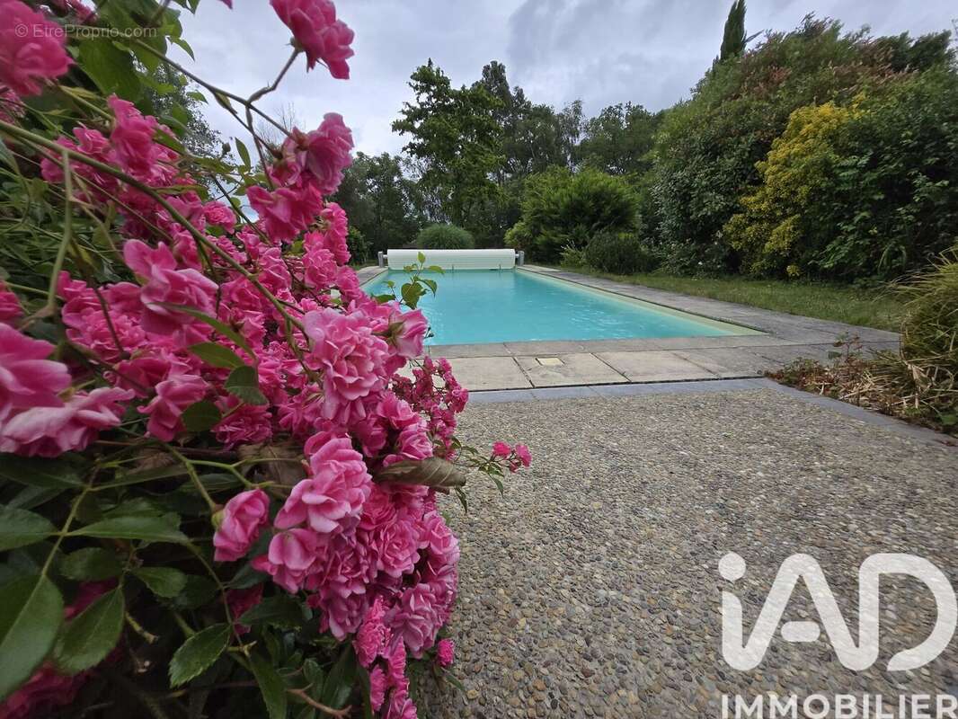 Photo 9 - Maison à NAVAILLES-ANGOS