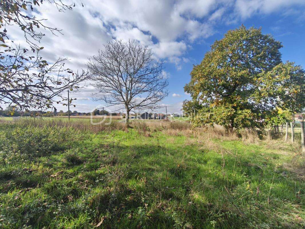 Terrain à MONTMIRAIL