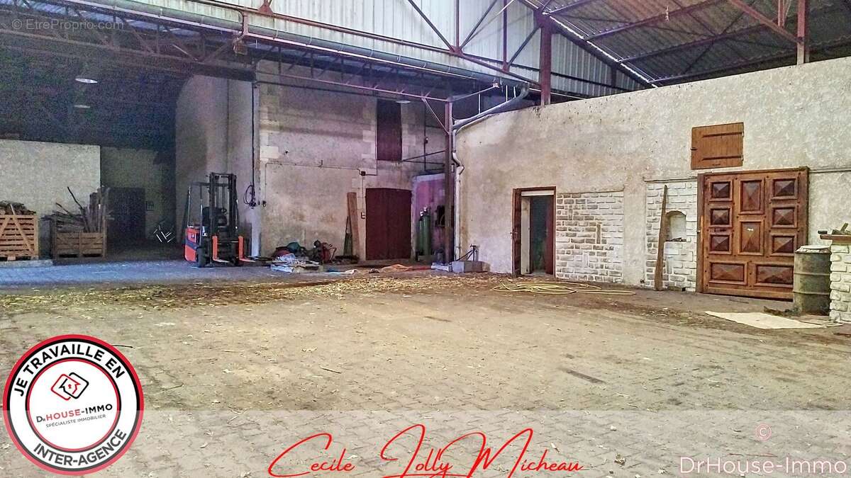 Autre à BRAUD-ET-SAINT-LOUIS