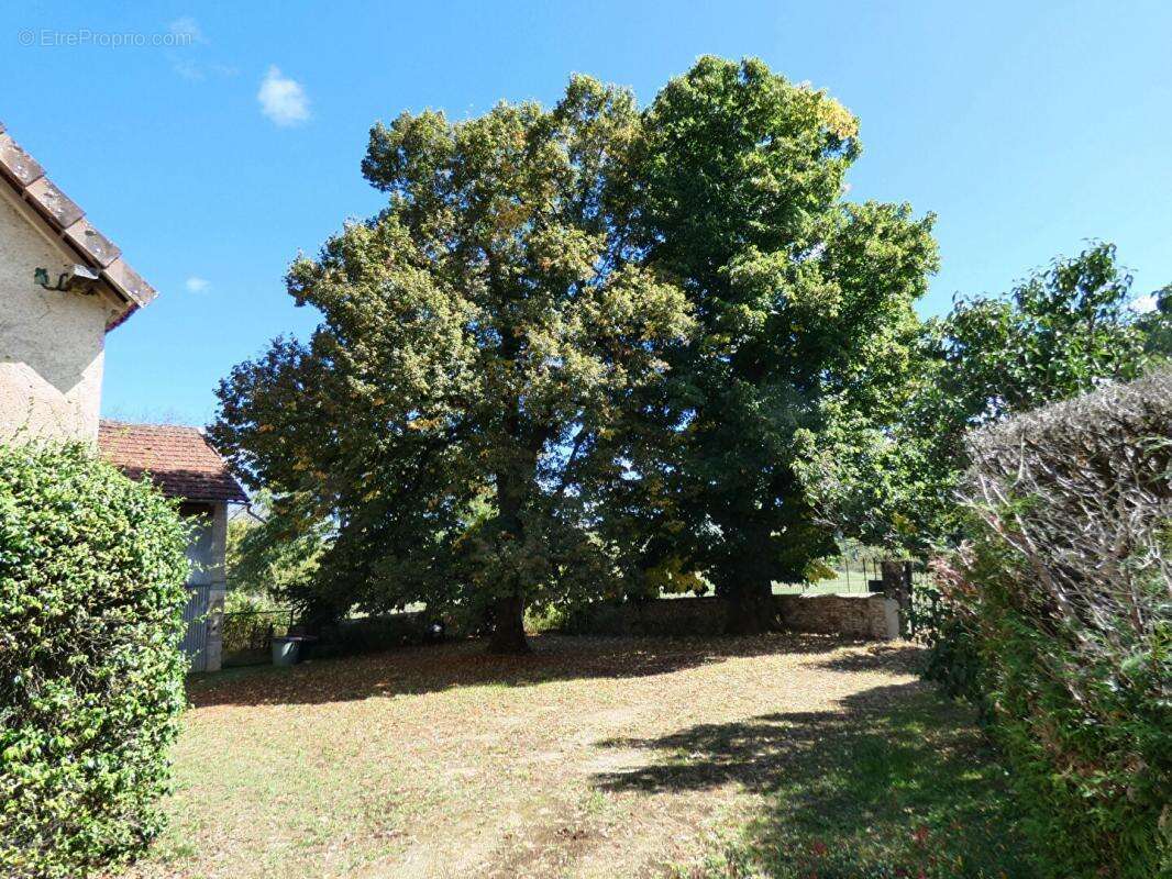 Maison à SAINTE-EULALIE-D&#039;ANS