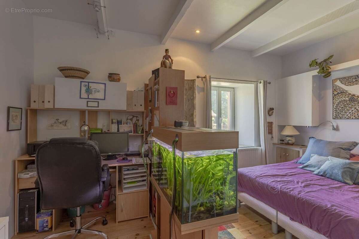 Maison en pierres, 300m2, au calme, commerces à pied/velo, 2ha, 30 min. d'Albi - photo 12