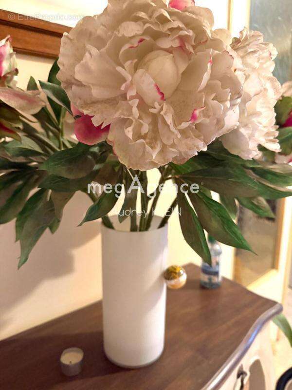 Maison à VILLENEUVE-SUR-YONNE