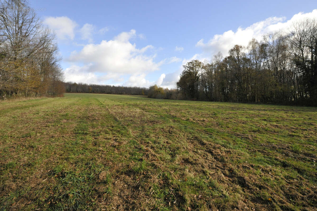 Terrain à VICQ-SUR-BREUILH