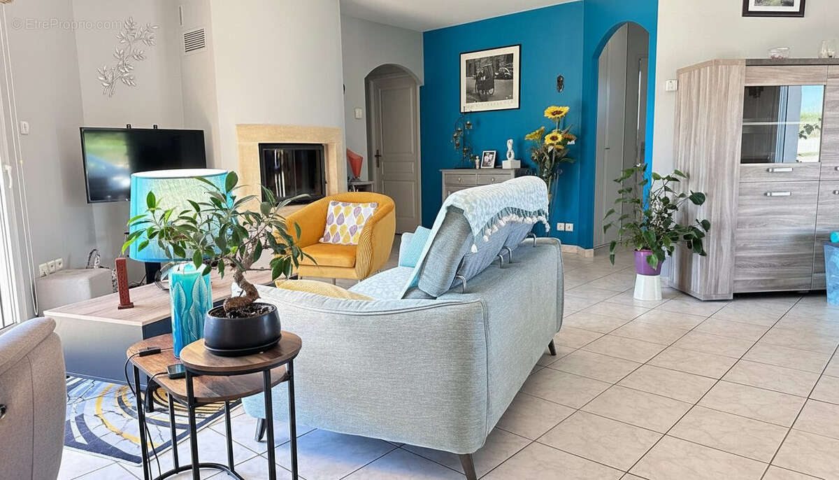 coin salon avec insert - Maison à FAUX