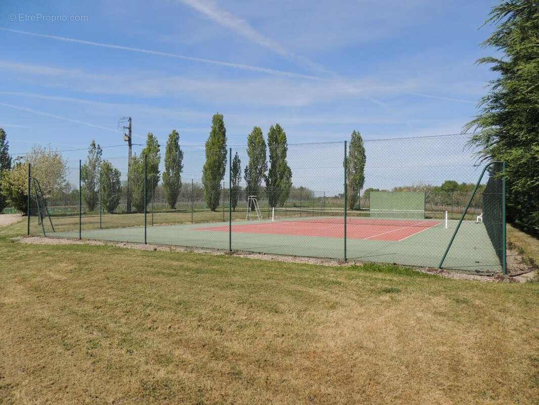 Domaine avec vignoble en activité, maison familiale, gîte, piscine et court de tennis - photo 19