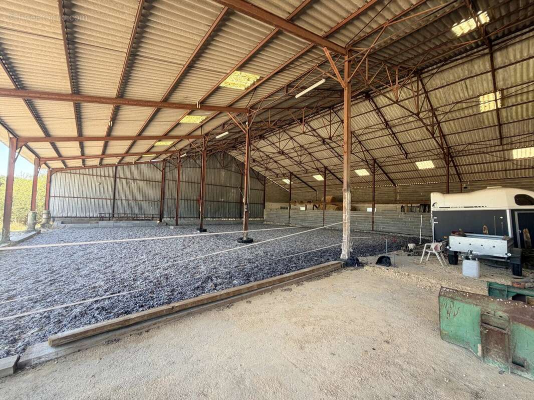 Propriété de caractère en pierres – Domaine équestre sur près de 6 hectares - photo 32
